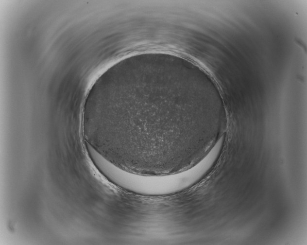 X0000100391528200806201702