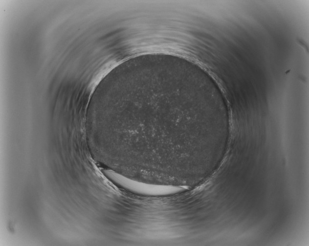 X0000100391529200806201702