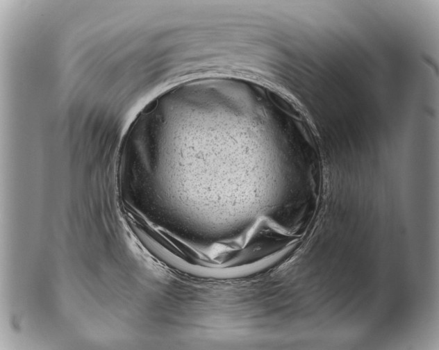 X0000100391530200806201702