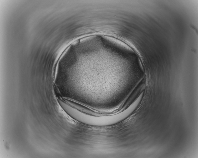 X0000100391532200806201702