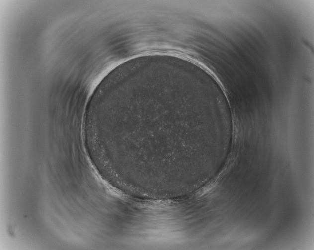 X0000100391533200806201702