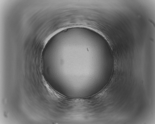 X0000100391534200806201702