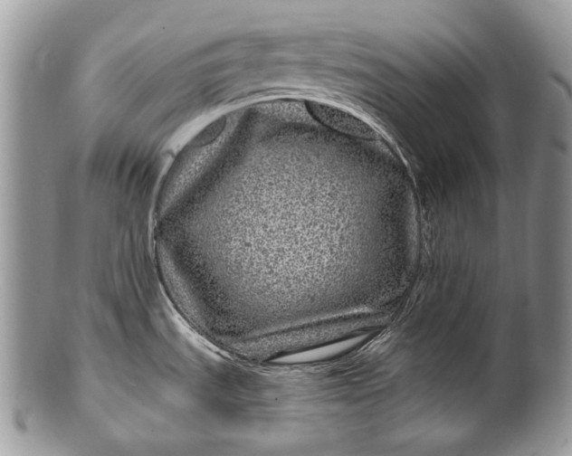 X0000100391535200806201702