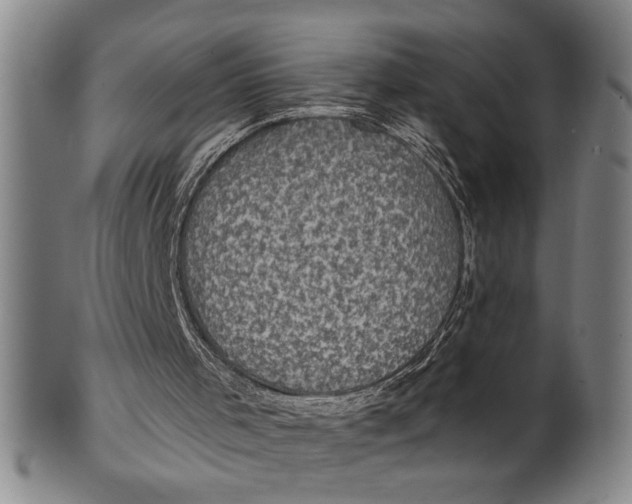 X0000100390001200806271408