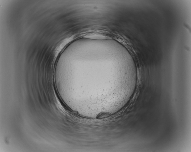 X0000100390003200806271408