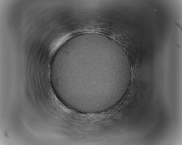 X0000100390005200806271408