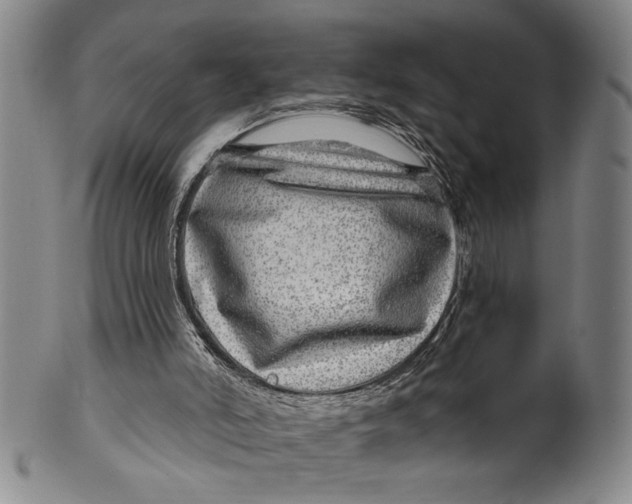 X0000100390006200806271408