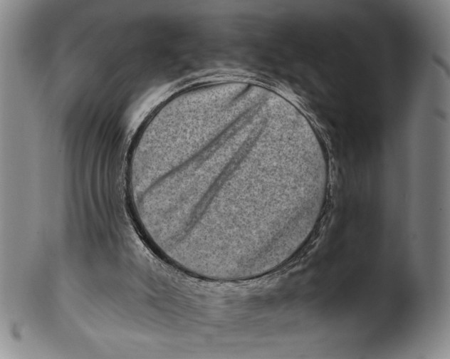 X0000100390007200806271408