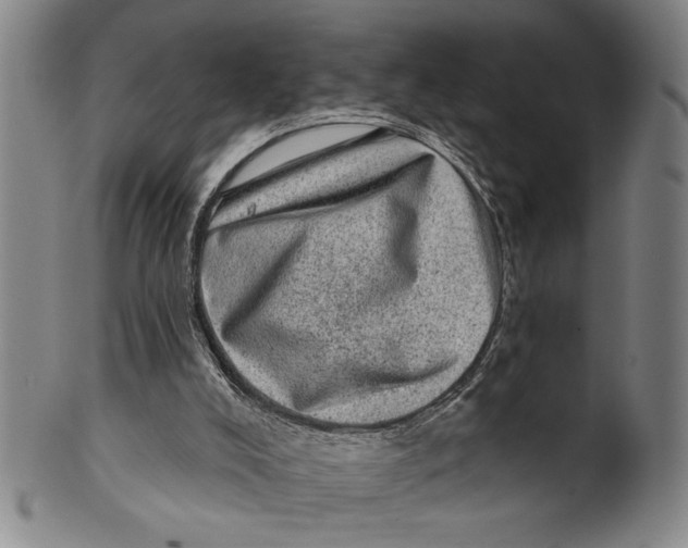 X0000100390008200806271408