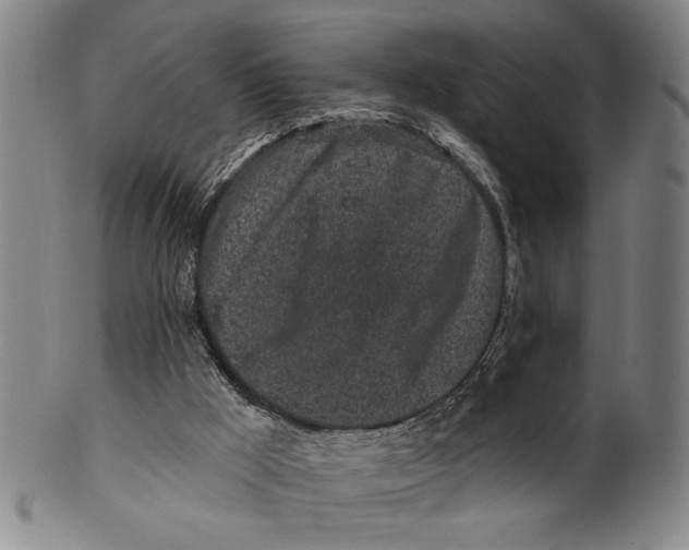 X0000100390009200806271408