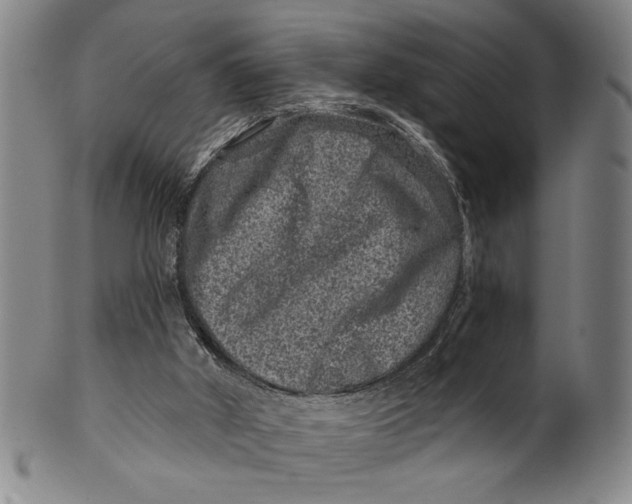 X0000100390010200806271408