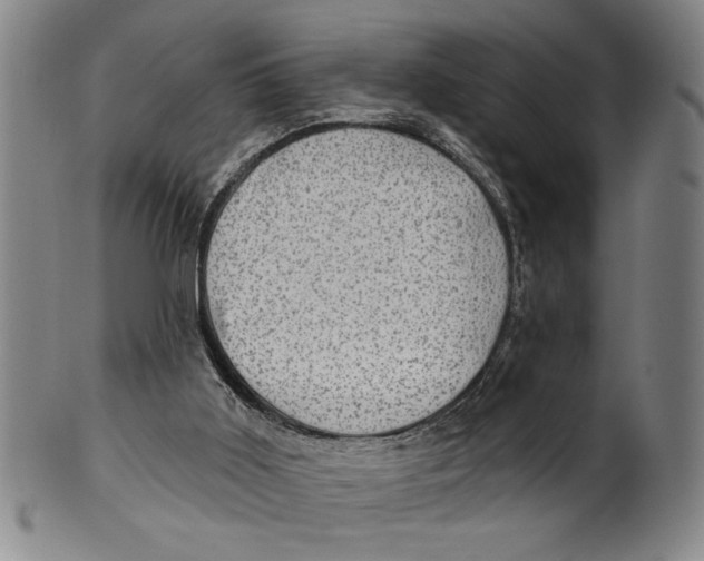 X0000100390011200806271408