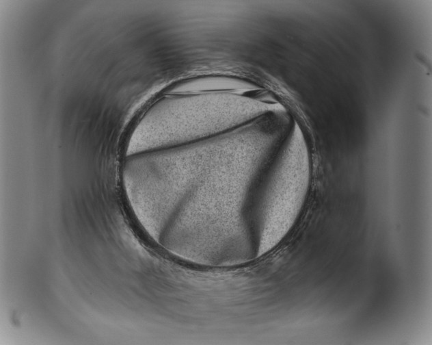 X0000100390012200806271408