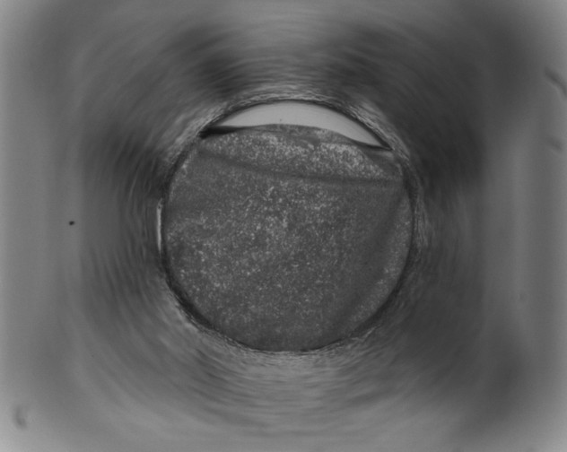 X0000100390014200806271408