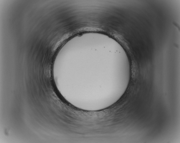 X0000100390015200806271408