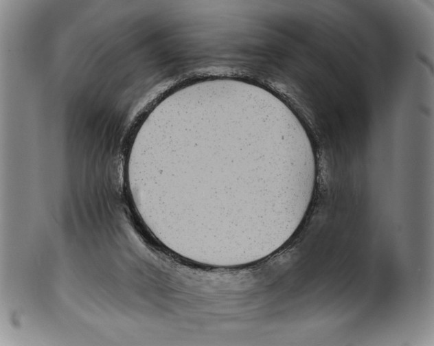 X0000100390016200806271408