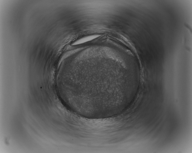 X0000100390018200806271408