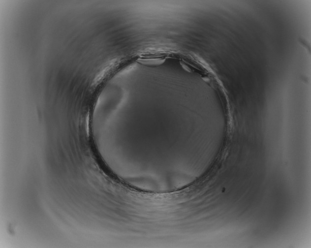 X0000100390019200806271408