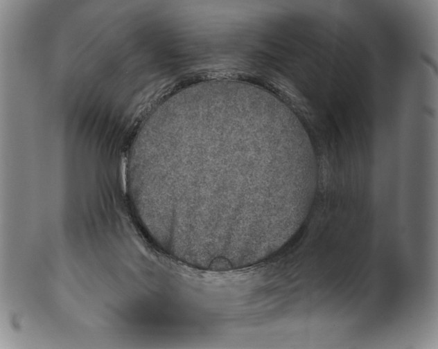 X0000100390022200806271408