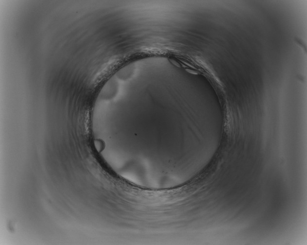 X0000100390023200806271408