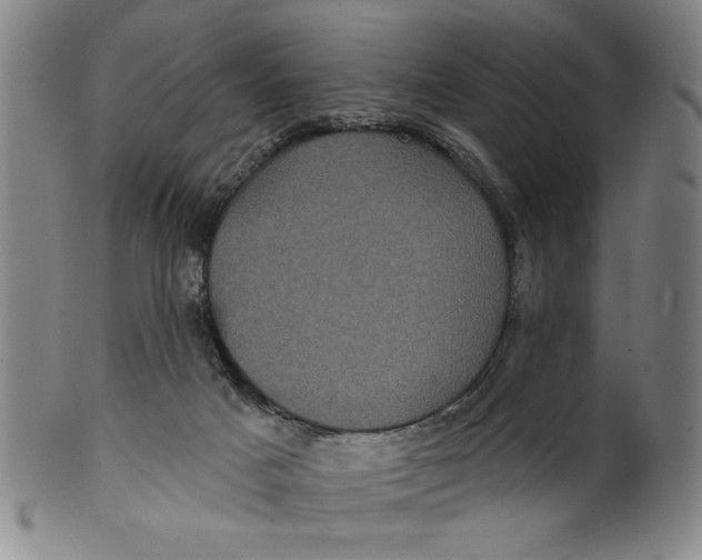 X0000100390025200806271407