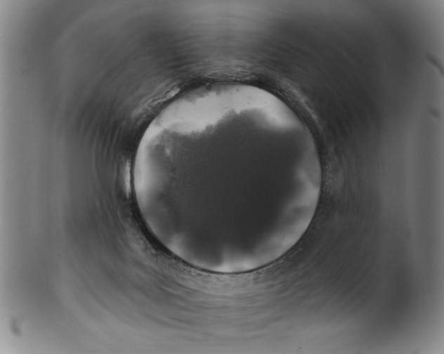 X0000100390027200806271407