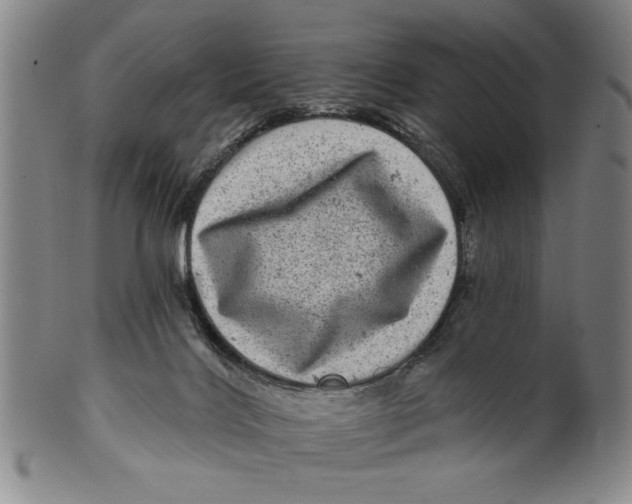 X0000100390028200806271407