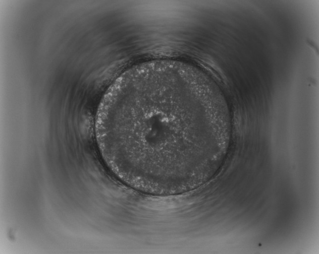 X0000100390029200806271407