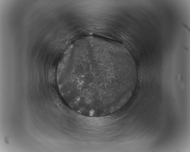 X0000100390030200806271407