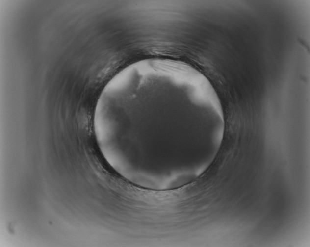 X0000100390031200806271407