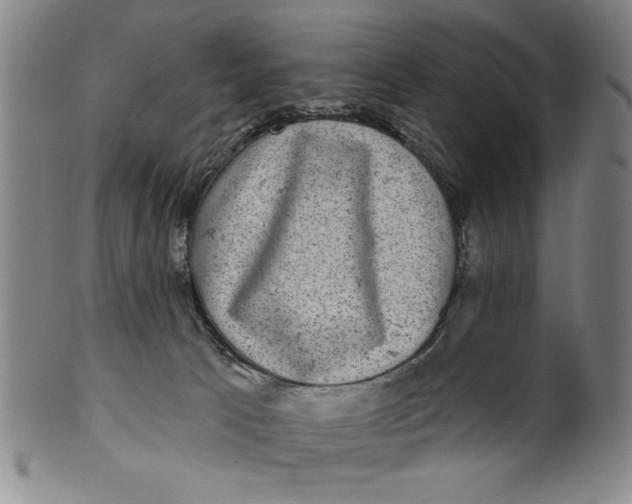 X0000100390033200806271407