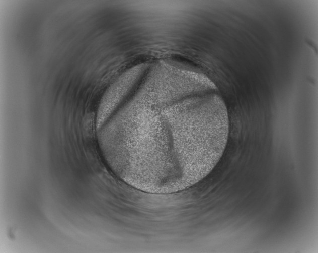 X0000100390034200806271407