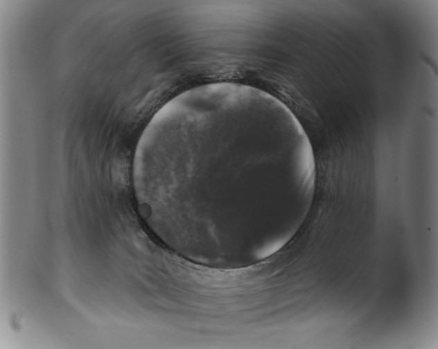 X0000100390035200806271407