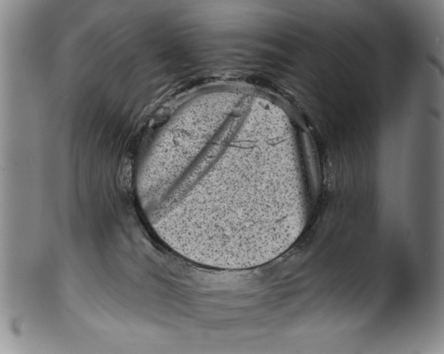 X0000100390036200806271407