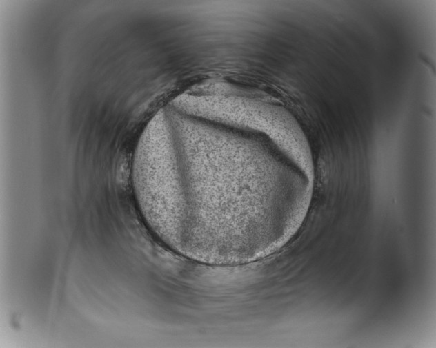 X0000100390037200806271407