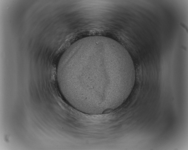 X0000100390038200806271407