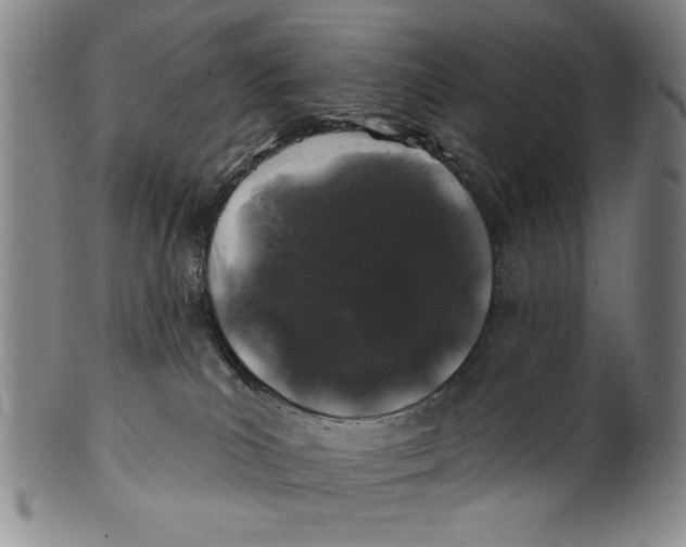 X0000100390039200806271407