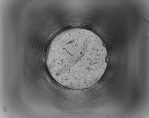 X0000100390040200806271407