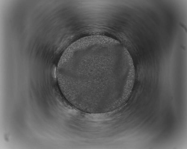 X0000100390041200806271407