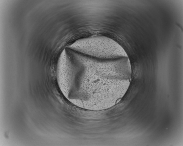 X0000100390044200806271407