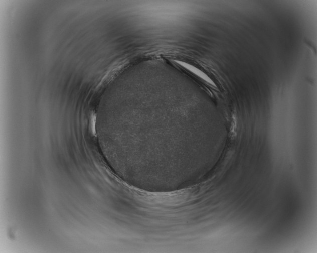 X0000100390046200806271407