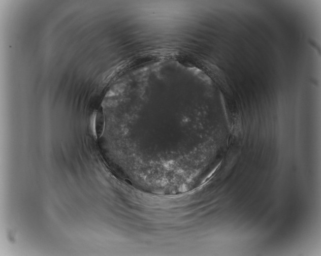 X0000100390047200806271407