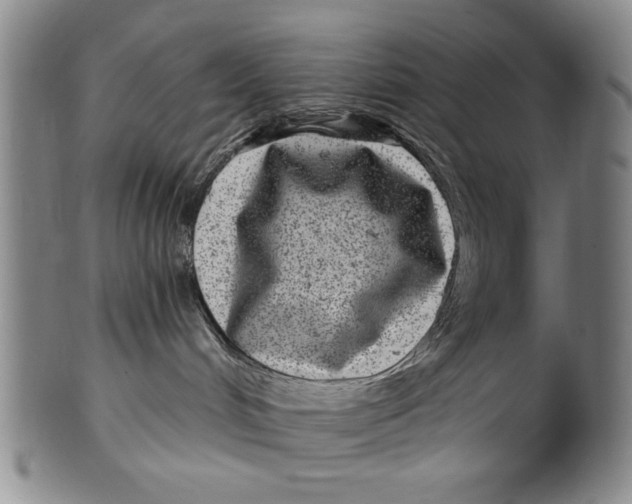 X0000100390048200806271407