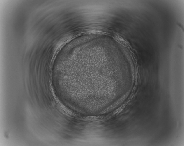 X0000100390049200806271406