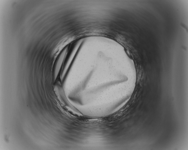 X0000100390050200806271406