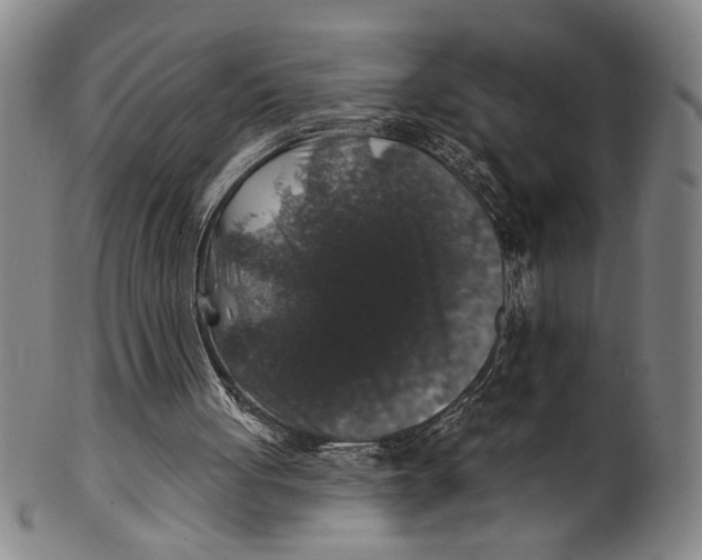 X0000100390051200806271406