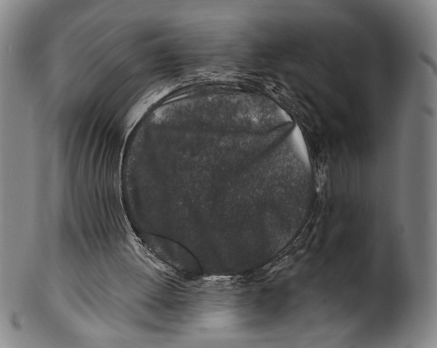 X0000100390052200806271406