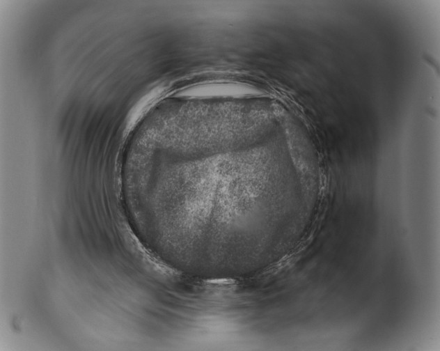 X0000100390053200806271406