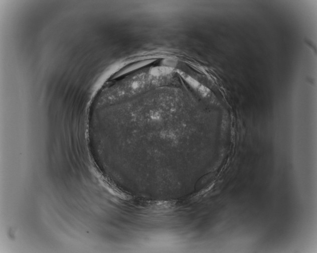 X0000100390056200806271406