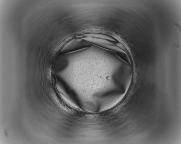 X0000100390057200806271407